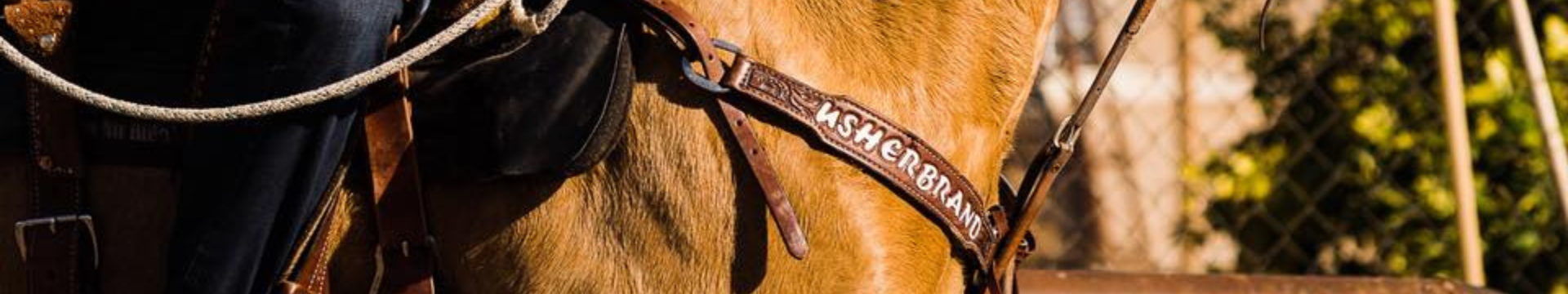 5 Tips to Properly Break-In Your Saddle